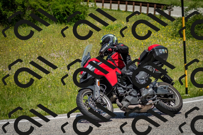 202506071230-DSC_5306_c2