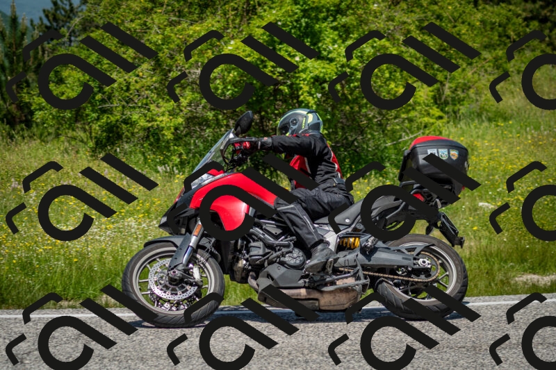 202506071230-DSC_5307_c2