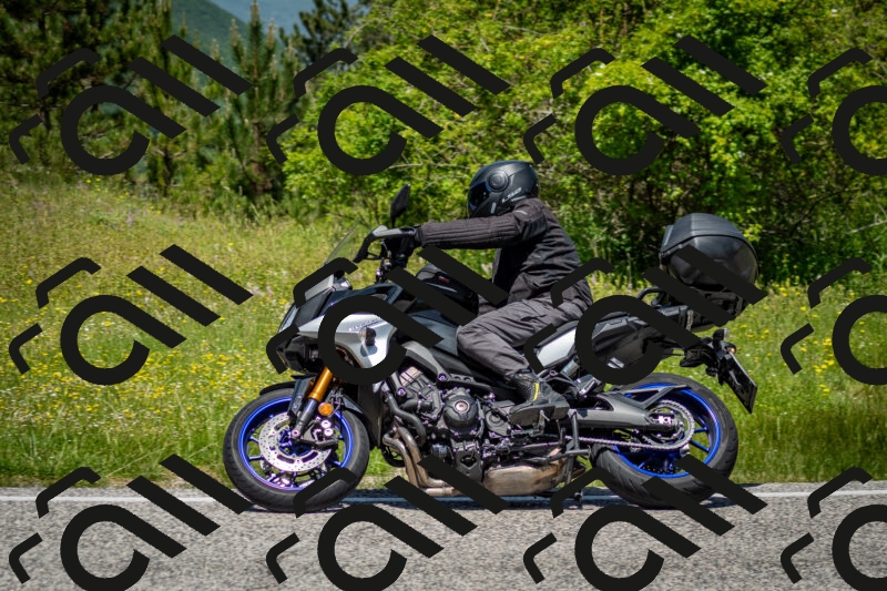 202506071230-DSC_5309_c2