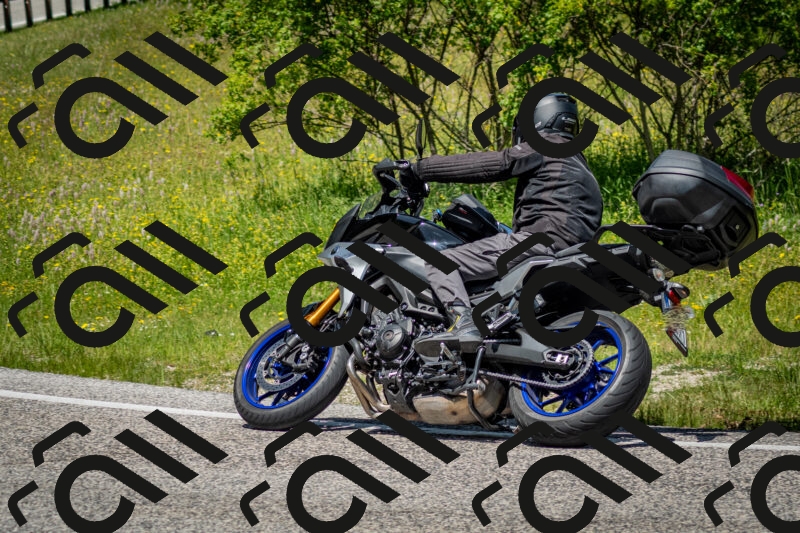 202506071230-DSC_5310_c2