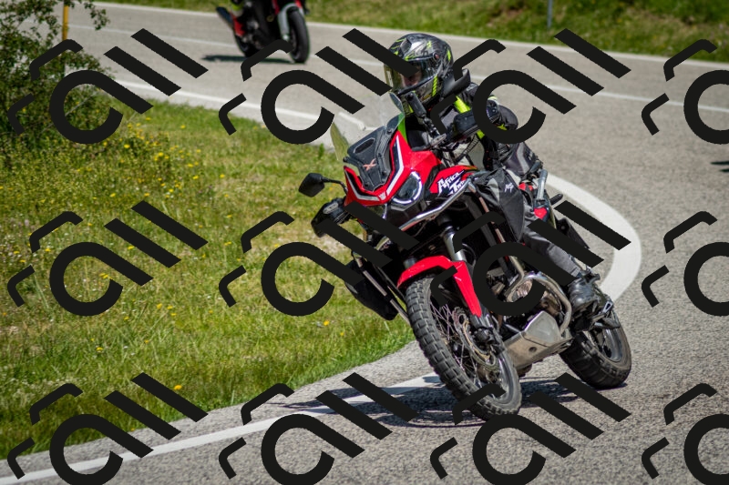 202506071230-DSC_5311_c2