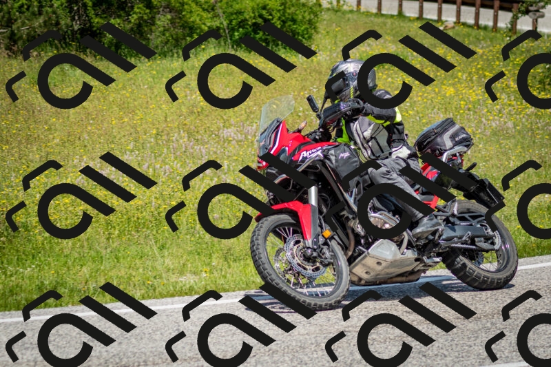 202506071230-DSC_5312_c2