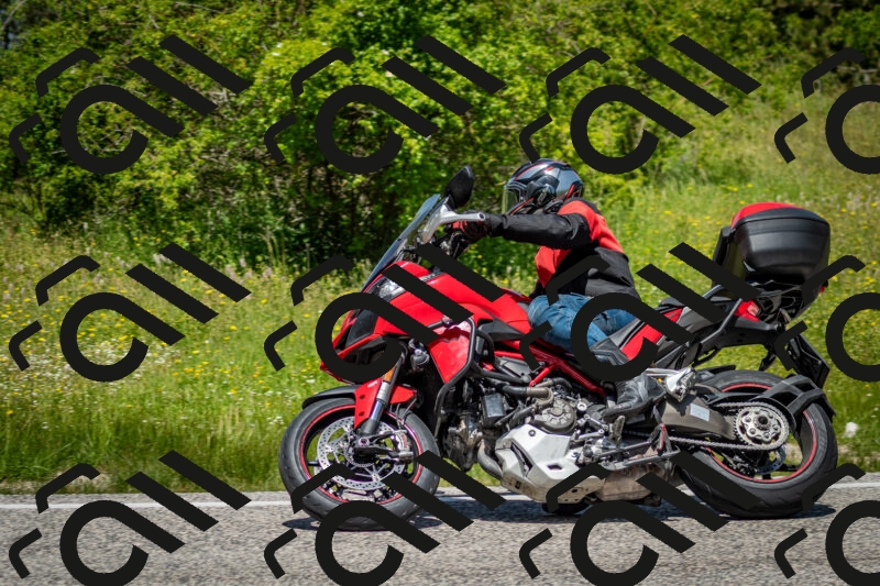 202506071230-DSC_5315_c2