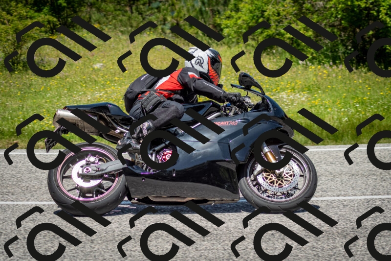 202506071231-DSC_5324_c2