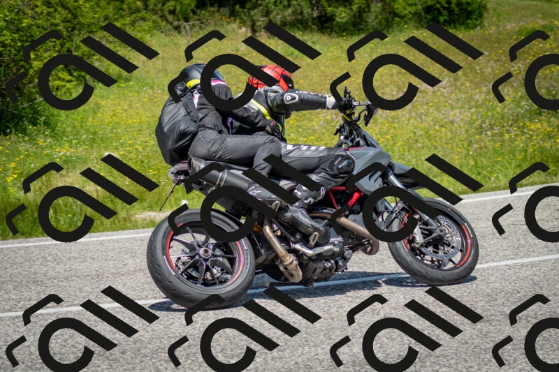 202506071231-DSC_5326_c2