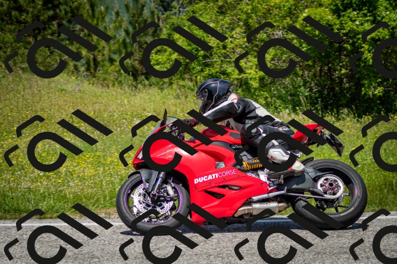 202506071232-DSC_5329_c2