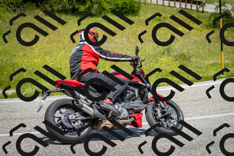 202506071233-DSC_5335_c2