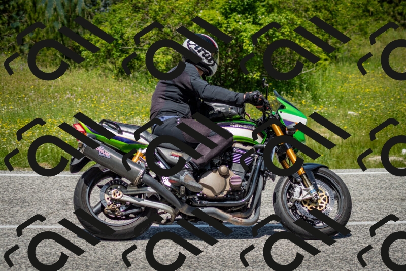 202506071235-DSC_5339_c2