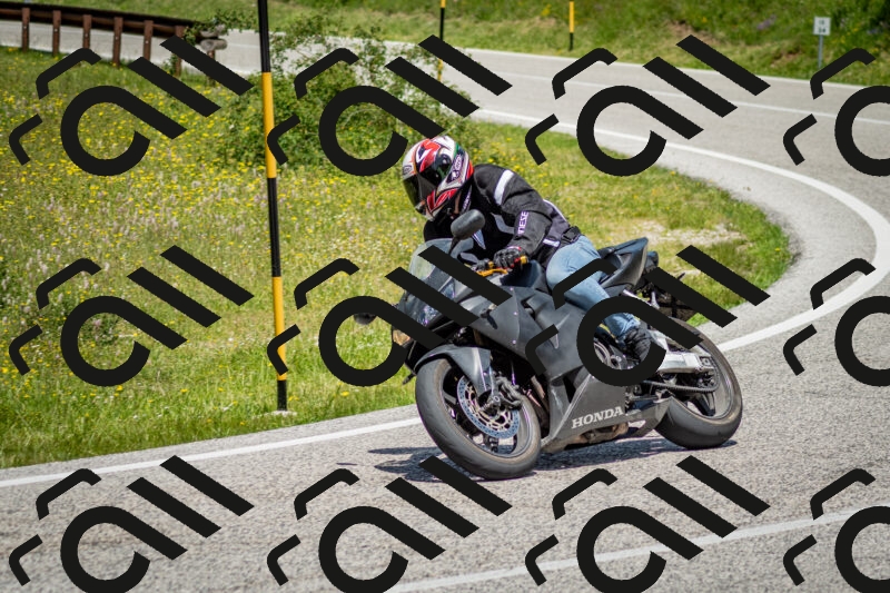 202506071237-DSC_5342_c2