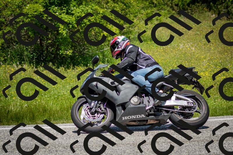 202506071237-DSC_5343_c2