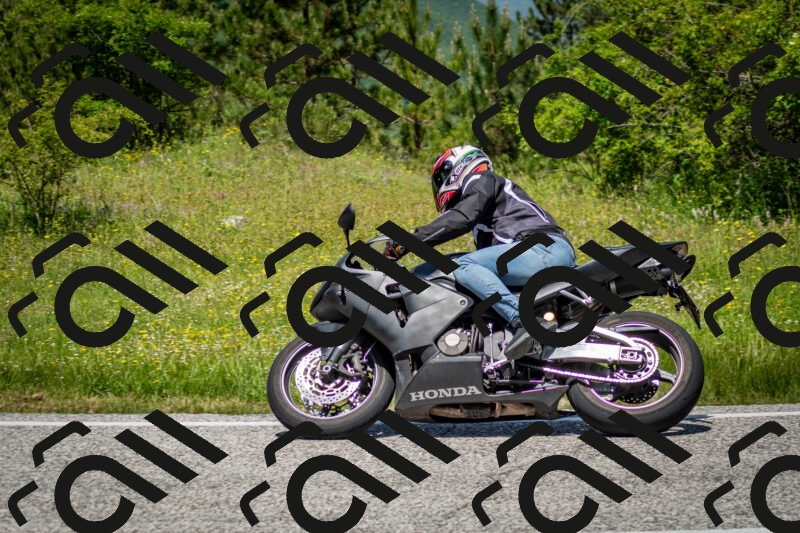 202506071237-DSC_5344_c2