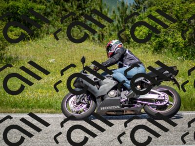 202506071237-DSC_5344_c2