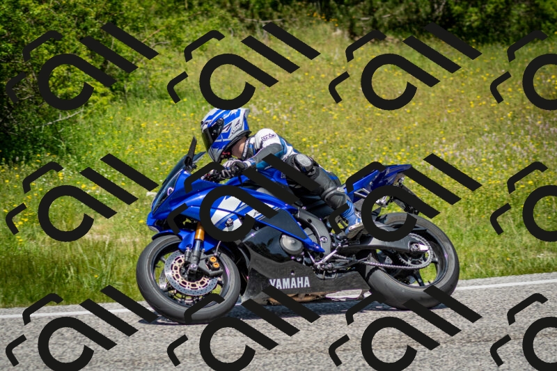 202506071238-DSC_5349_c2