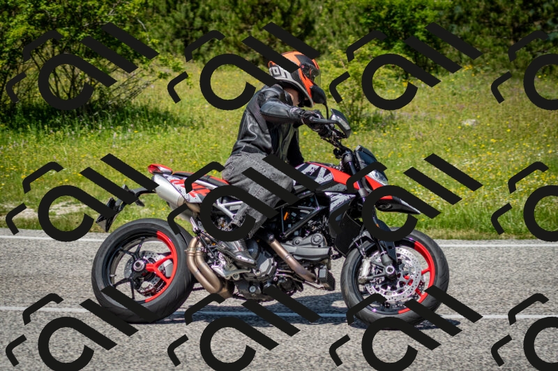 202506071238-DSC_5353_c2