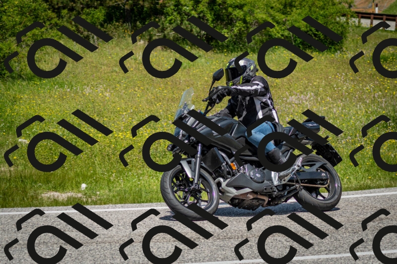 202506071238-DSC_5356_c2