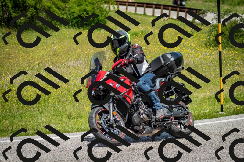 202506071238-DSC_5357_c2