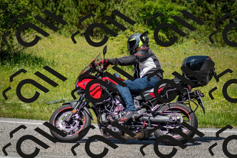 202506071239-DSC_5358_c2