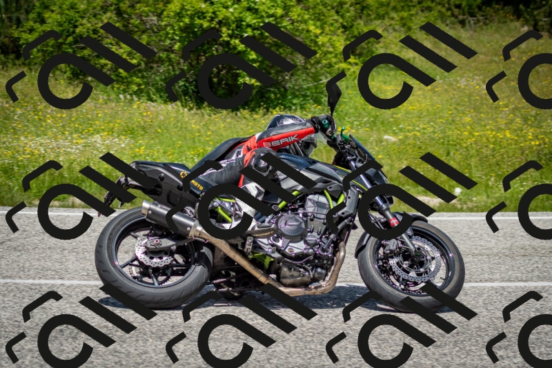 202506071239-DSC_5361_c2