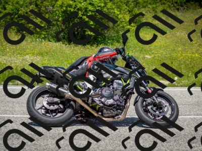 202506071239-DSC_5361_c2