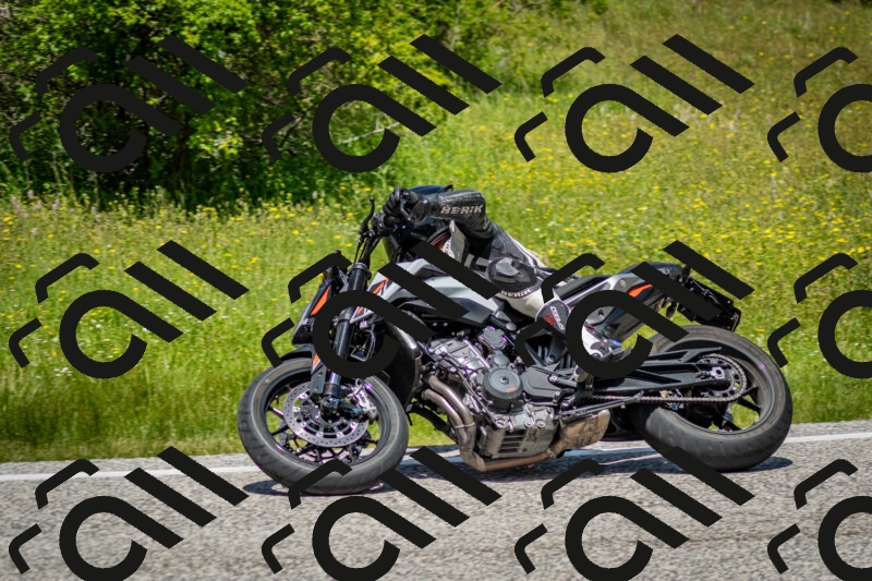 202506071240-DSC_5371_c2