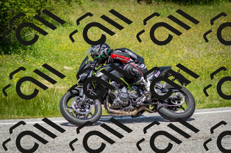 202506071240-DSC_5376_c2