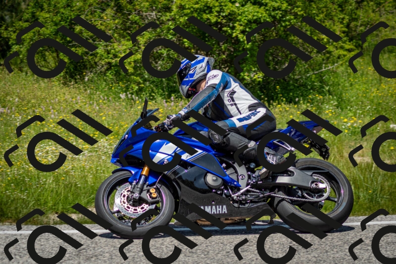 202506071240-DSC_5378_c2