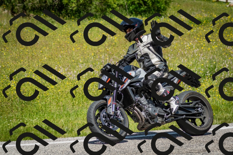 202506071241-DSC_5383_c2