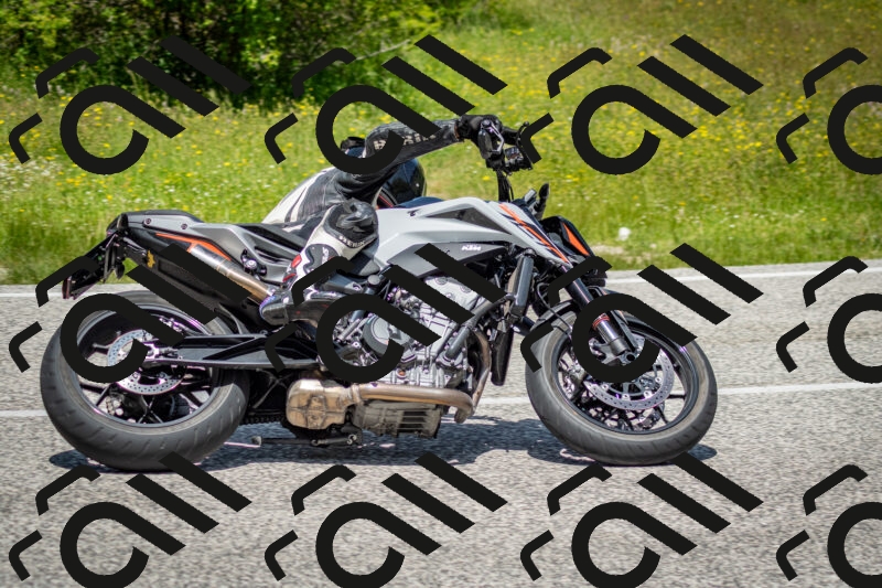 202506071242-DSC_5395_c2