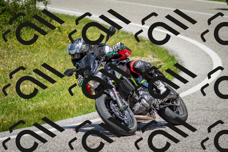 202506071242-DSC_5398_c2