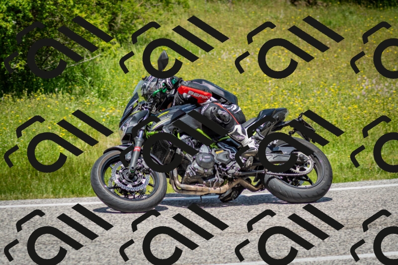 202506071242-DSC_5399_c2