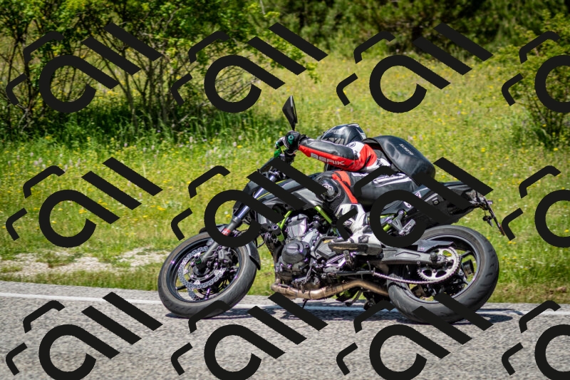 202506071242-DSC_5400_c2