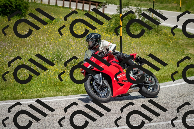 202506071243-DSC_5408_c2