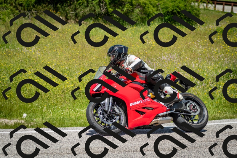 202506071243-DSC_5409_c2