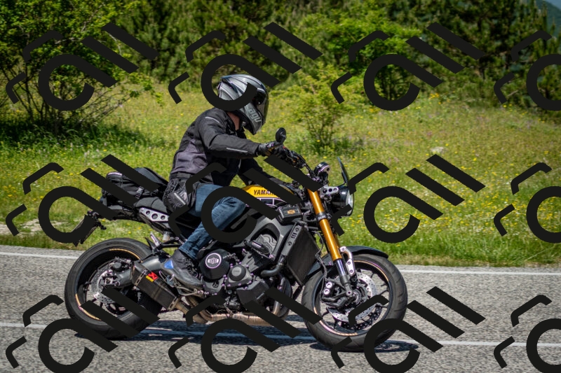 202506071244-DSC_5425_c2