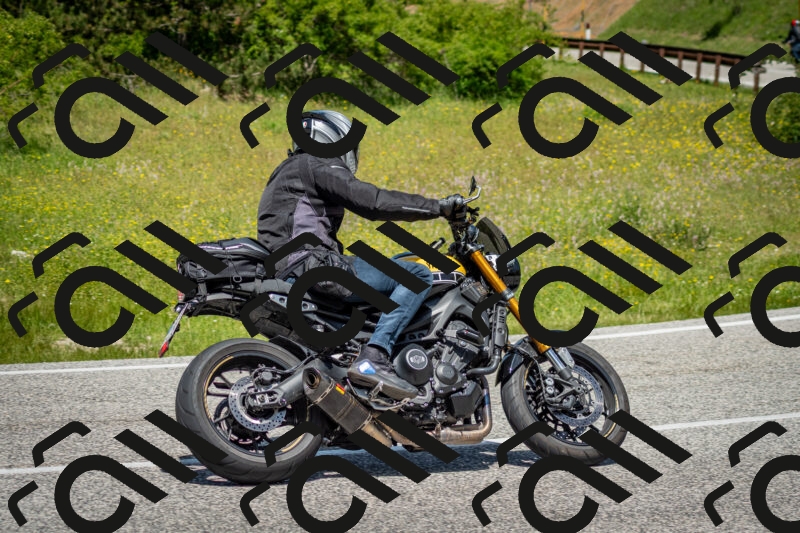 202506071244-DSC_5426_c2