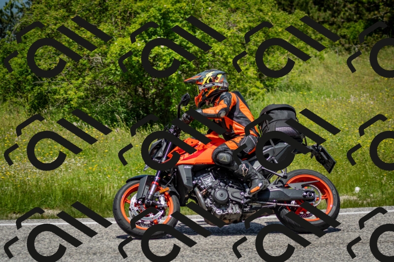 202506071244-DSC_5430_c2