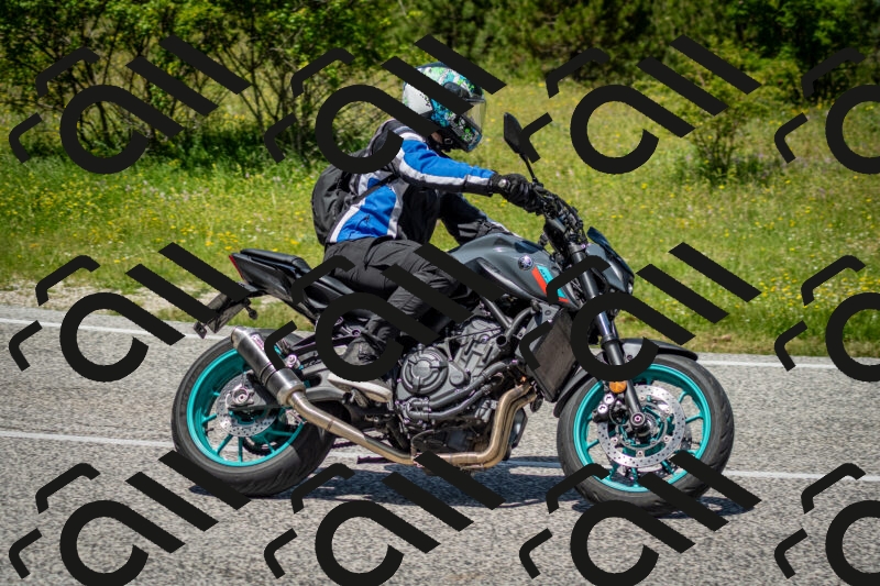 202506071244-DSC_5432_c2