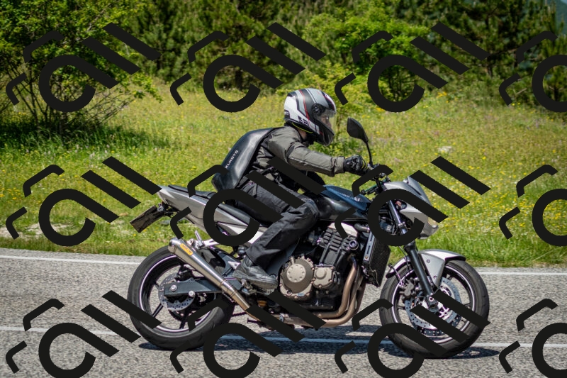 202506071244-DSC_5434_c2