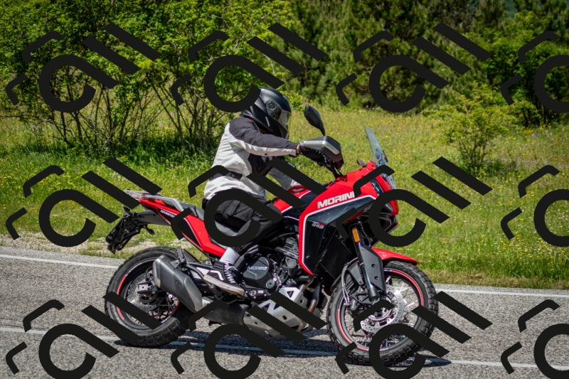 202506071244-DSC_5438_c2