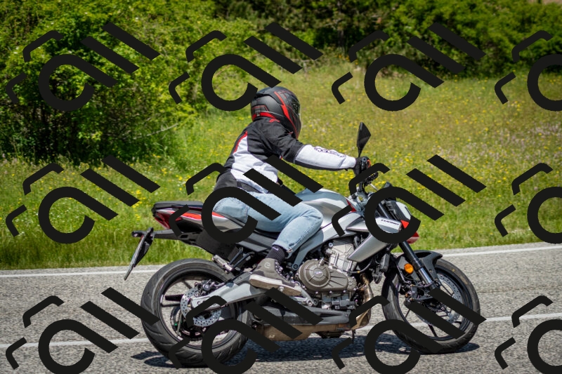 202506071244-DSC_5440_c2