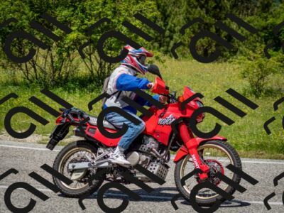 202506071244-DSC_5442_c2