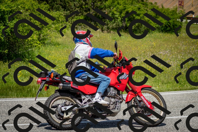 202506071244-DSC_5443_c2