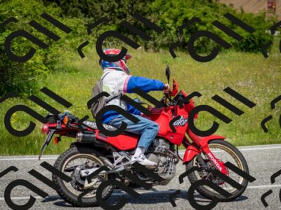 202506071244-DSC_5443_c2