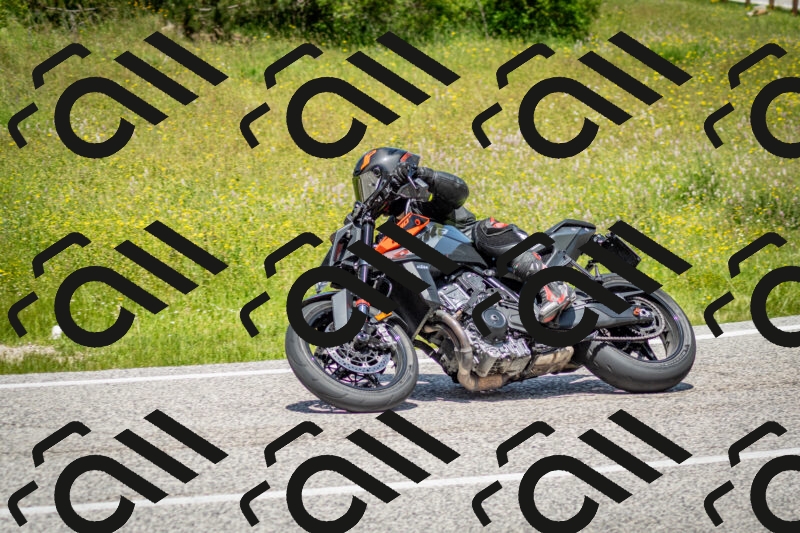 202506071246-DSC_5457_c2