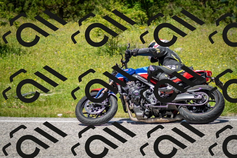 202506071246-DSC_5460_c2