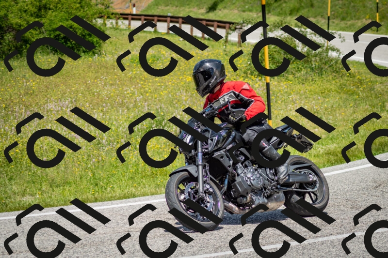 202506071246-DSC_5461_c2