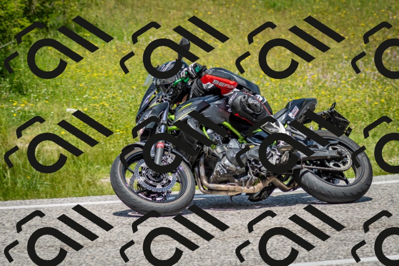 202506071246-DSC_5465_c2