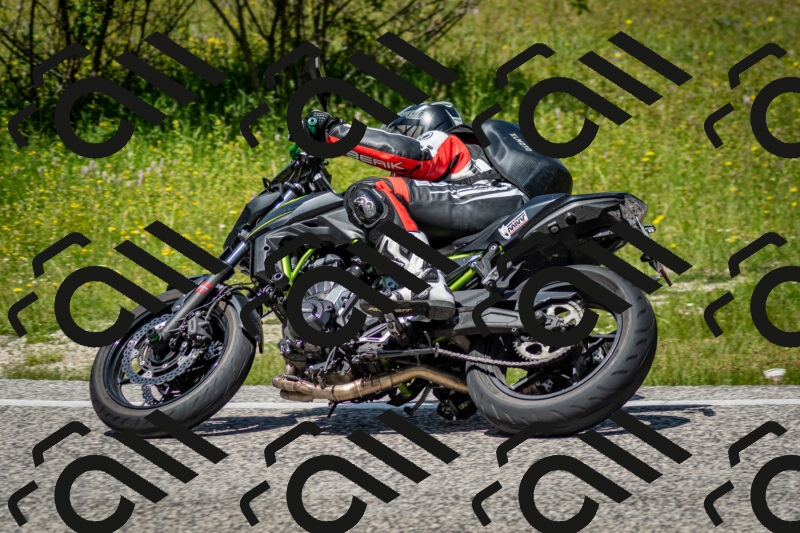 202506071246-DSC_5466_c2