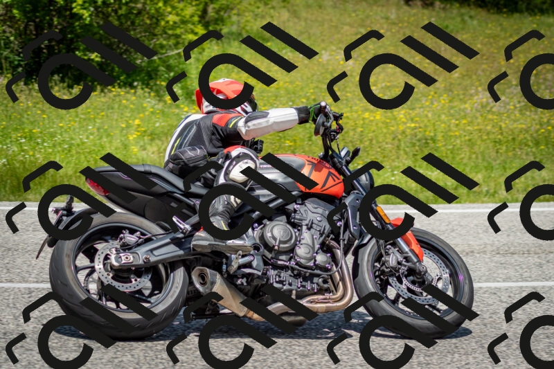 202506071247-DSC_5471_c2