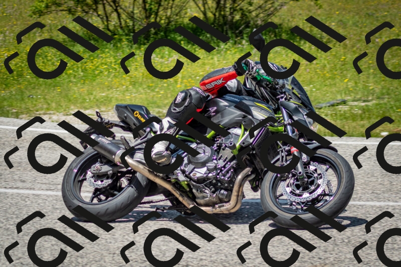 202506071247-DSC_5473_c2